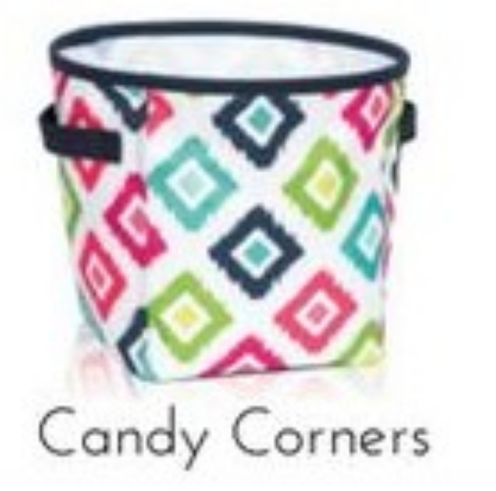 Mini Storage Bin Thirty-One